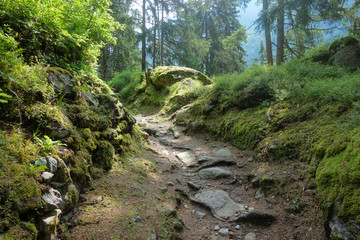 Wanderweg in Mayrhofen