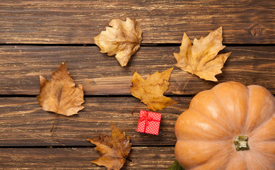 Pumpkin and leafs with gift