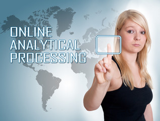 Online Analytical Processing