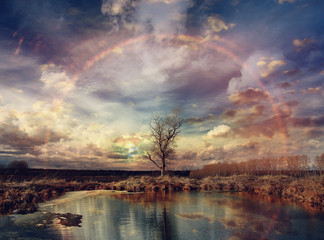 Autumn sunset nature landscape