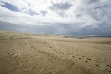 Fototapeta na wymiar Dune du Pyla