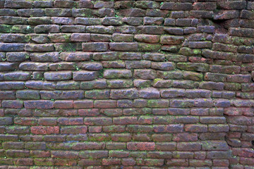 Old brick wall with moss background