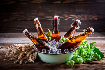 Fresh and cold beer