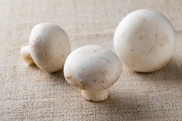 champignon mushrooms