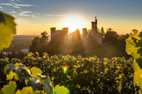 Schloss Ortenberg