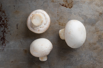 champignon mushrooms