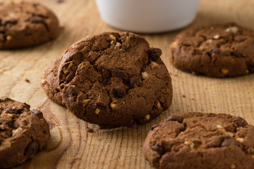 chocolate biscuit cookies