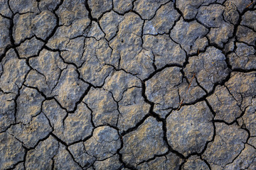 cracked earth surface