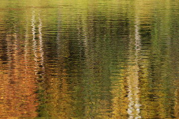 texture of a dark autumn water in the river