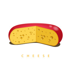 Vector illustration of the wheel of cheese isolated on the white