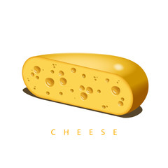 Vector illustration of the half of wheel of cheese