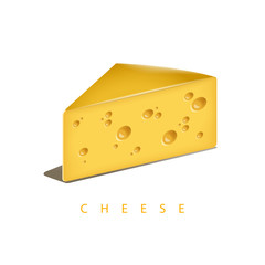 Vector illustration of the piece of cheese