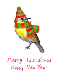 Bird in winter hat and scarf. Watercolour season postcard