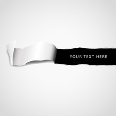 Text field in the paper with paper stripe isolated