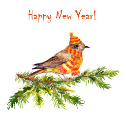Cute winter bird in hat and scarf on fir tree branch. New year