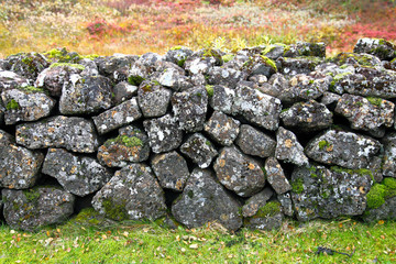 Feldsteinmauer im Herbst