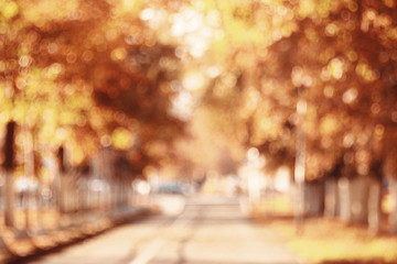 landscape background in sunny autumn park