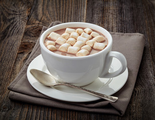 Cup of hot cocoa