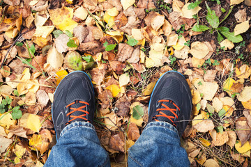 Male feet in sport shoes standing on falling leaves