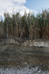 Punta Aderci, Riserva naturale