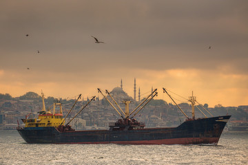 Fototapeta premium Istanbul ferry sailing in the Sea and Bosphorus