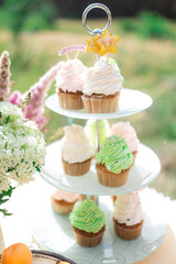 the cupcakes are beautiful and colorful on the table outdoors