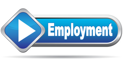 EMPLOYMENT ICON