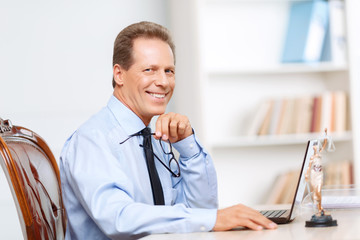 Professional lawyer working on computer 