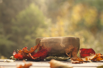 singing bowl made of seven metals surrounded of colorful autumn