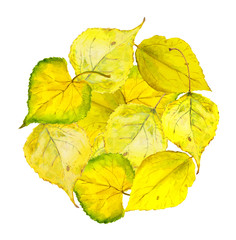 Autumn circle background with yellow autumn leaves