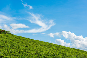 Fototapeta na wymiar grassy knoll with blue sky