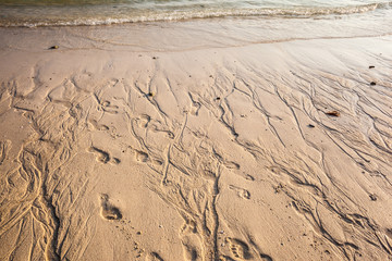 Foreshore
