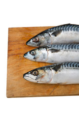 Three mackerel on a wooden Board isolated