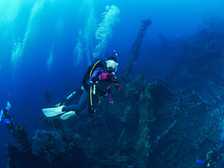 Plakat Scuba diver with coral