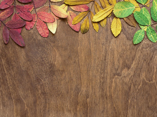 Yellow, red and green leaves on brown wooden background