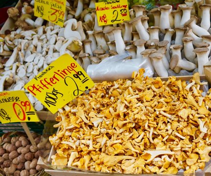 frische Waldpilze im Angebot
