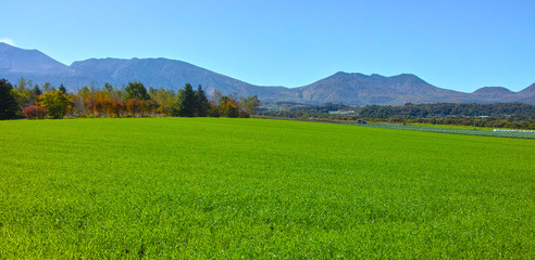 北軽井沢の牧草地