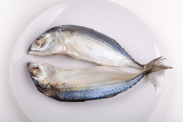 mackerel fish