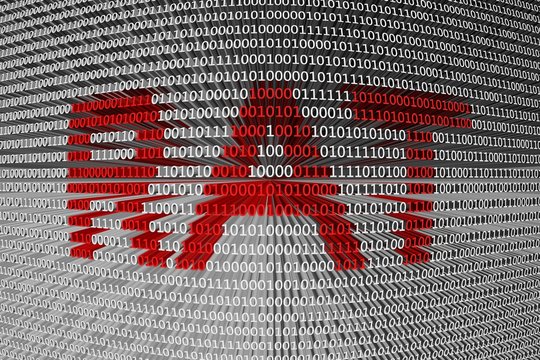 Trojan RAT is presented in the form of binary code
