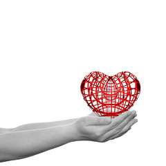 Obraz premium Human hand with heart