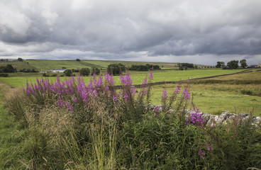 Northumberland