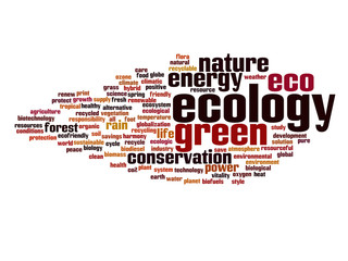Conceptual ecology word cloud