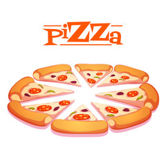 Vector illustration of hot pizza on white background