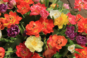 Multicolored tulip bouquet