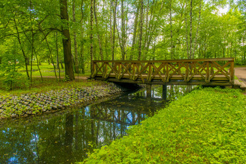 A small river in the city park in the summer