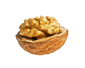 Walnut isolated on white background