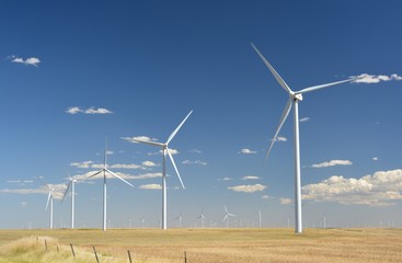 Wind Turbines in a Plowed Farm Field
