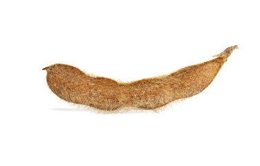 Soy pod isolated on white background