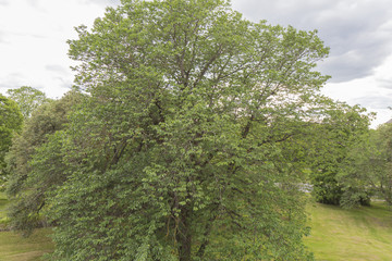 Stockholm Schweden im Sommer