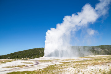 Old Faithful geyser eruption into Yellowstone National Park, USA